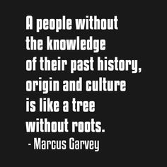 a person without the knowledge of their past history, origin and culture is like a tree without roots