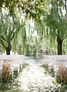 tables and chairs are set up under the trees for an outdoor wedding ceremony in front of a pond