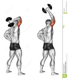 an image of a man doing exercises with dumbbells