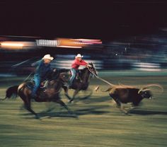 two men are riding horses while being pulled by cattle at night time in an arena