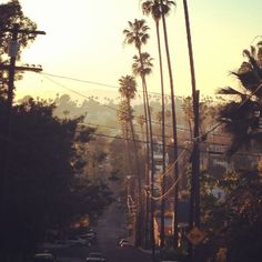 the sun shines brightly through palm trees on a street with cars driving down it