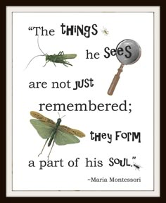 Nature Themed Room, Forest Display, Maria Montessori Quotes, Nature Classroom, Montessori Quotes, Play Quotes, Kids Quotes, Nature School