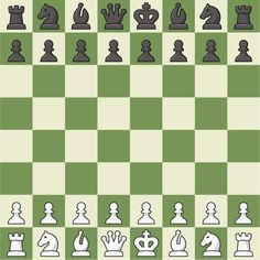 the chess board is shown with all pieces in black and white, including one pawn