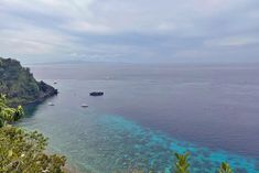 several boats floating on the ocean near some trees