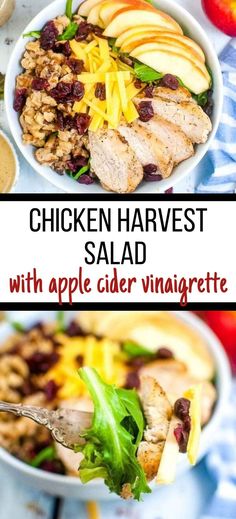 chicken harvest salad with apple cider vinaigrete