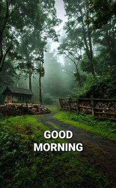 the words good morning are in front of a forest scene