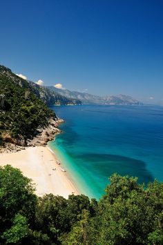 the beach is surrounded by trees and blue water