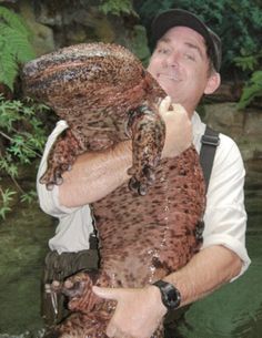 a man holding a large animal in his hands