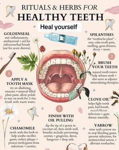 دورة شهرية, Medical Herbs, Teeth Health, Herbal Healing, Home Health Remedies, Herbs For Health, Teeth Care, Natural Health Remedies