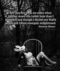 Alice And Wonderland Quotes, Wonderland Quotes, Mother Daughter Quotes, Mental Health Advocate, Down The Rabbit Hole, The Rabbit Hole, Rabbit Hole, The Rabbit