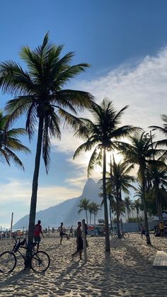 palm trees on the beach with people walking and riding bikes in the sand near them