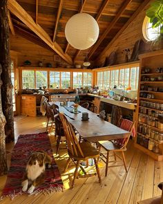 the dog is sitting on the rug in the dining room with wood flooring and large windows