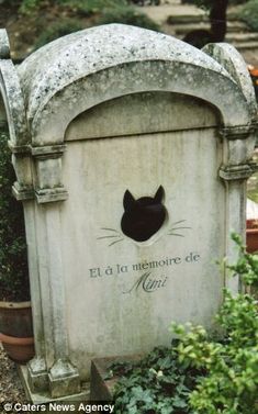 a grave with a cat's head sticking out of the hole that says, el dia mementoe de mierz