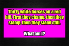 a pink and black photo with the words, thirty white horses on a red hill first they