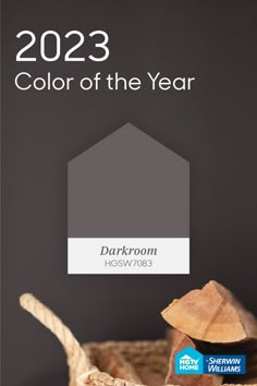 the color of the year is darkroom