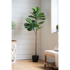 Fiddle Leaf Fig Tree, The Feathered Farmhouse Fig Leaf Tree, Fiddle Leaf Fig Plant, Fiddle Leaf Tree, Fig Plant, Plant In Pot, Fiddle Fig, Fiddle Leaf Fig Tree, A&b Home, Faux Tree