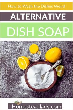 a dish with lemons and other ingredients on it, next to the title how to wash the dishes weird alternative dish soap