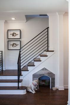 a dog is sitting on the floor in front of a stair case with its door open