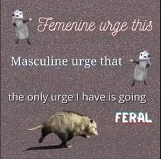 ferrets are running across the ground with words above them that read, ferretine urge this masculine urge that the only urge i have is going