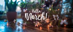 the words hello march are displayed on a table with flowers and lights in the background