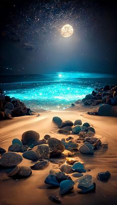 the beach is full of rocks and stars