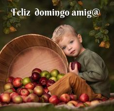 a young boy sitting in front of a basket full of apples with the caption feliz dominoo amiga