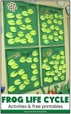 frog life cycle activities and free printables for kids to use in the classroom