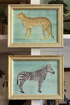 two framed pictures of zebras and a cheetah