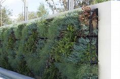 a large green wall with plants growing on it's sides next to a sidewalk