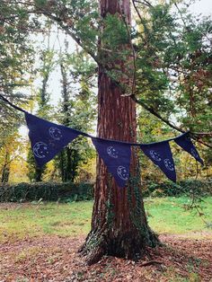 two blue flags hanging from a tree in the woods