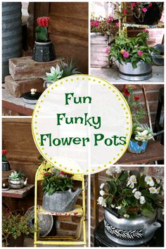 four different pictures with flowers in them and the words fun funky flower pots above it