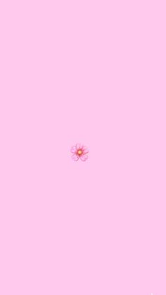 a single pink flower floating in the air