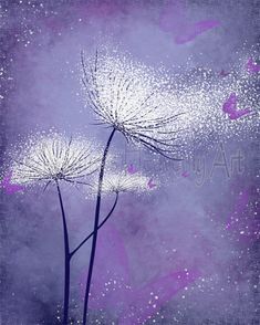 two dandelions on a purple background