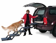 a woman and her dog walking up stairs to the back of a car with its trunk open