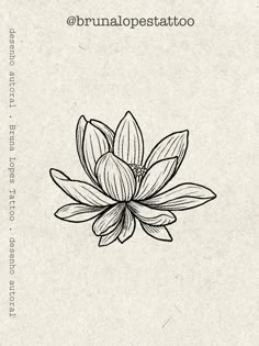 #lotusflower #lotus #lotusflowertattoo #lotustattoo #tattoo #etching #gravure #gravura #illustration #flash White Lotus Drawing, Aesthetic Lotus Tattoo, Lotus Flash Tattoo, Louts Flower Tattoo Back, Lotus Tattoo Aesthetic, Vietnamese Lotus Tattoo, Lotus Flower Tattoo Fine Line, Blooming Lotus Tattoo, Lotus Illustration Design