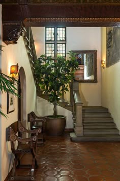 an entry way with stairs and potted plants