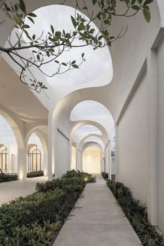 the walkway is lined with arches and plants