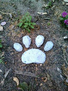 a rock with a paw print on it in the dirt next to flowers and leaves