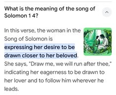 an image of someone's text on the page that reads, what is the meaning of the song of solomon?