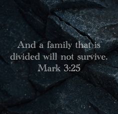 a rock with the words and a family that is divided will not survive mark 3 25