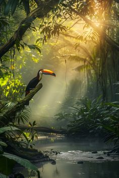 a toucan perched on a branch in the jungle