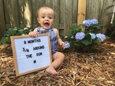 a baby sitting on the ground holding a sign that says 9 months around the sun