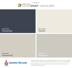 the color scheme for colorsnap visualizer is shown in gray, white and blue