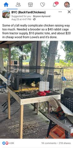 an image of a bird cage on top of a table