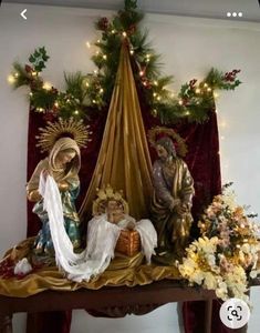 a nativity scene is displayed in front of a christmas tree