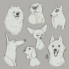 an image of dogs that are drawn in black and white