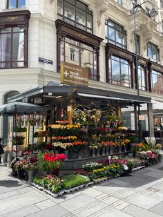 an outdoor flower shop with lots of flowers on display in front of a large building