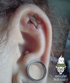 a close up of a person's ear with a small piece of metal in the middle