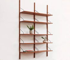 a wooden shelf with two plants on it