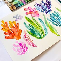 an art project with watercolors and seaweed